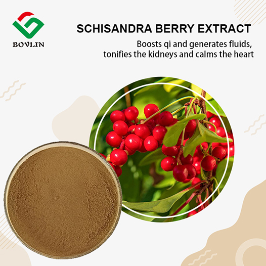 Organic Schisandra Berry Extract Organic Schisandra Berry Extract